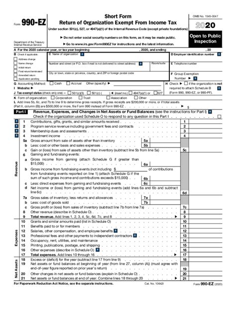 990 Ez 2020 2024 Form Fill Out And Sign Printable Pdf Template