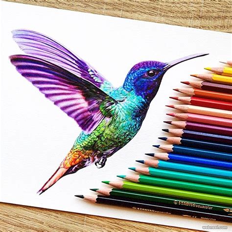 Pin By Bitli Kontes On Kalem Çİzİm Hummingbird Drawing Color