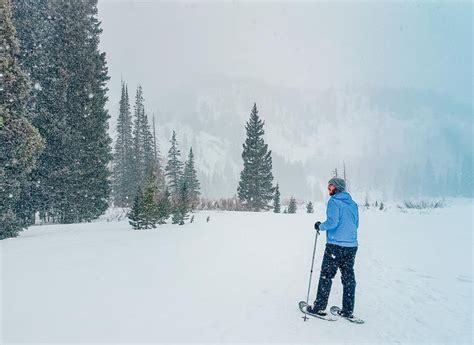 A Person On Skis Standing In The Snow Near Some Pine Trees And Mountain