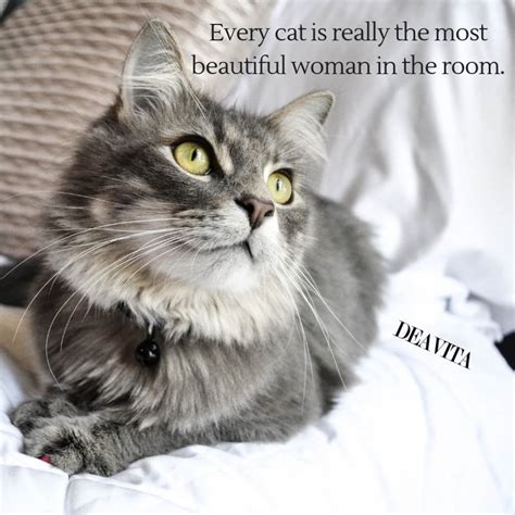 We have compiled some great motivation to get through the day with funny thursday memes, pics, and quotes! Funny kittens and cats quotes with adorable photos