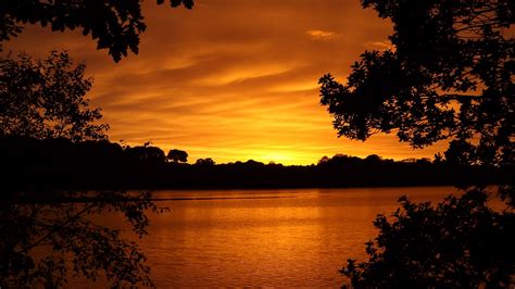 Download Wallpaper 1920x1080 Lake Sunset Trees Horizon Evening Full Hd Hdtv Fhd 1080p Hd