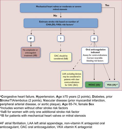 Medical Management Of Rheumatic Heart Disease Musculoskeletal Key