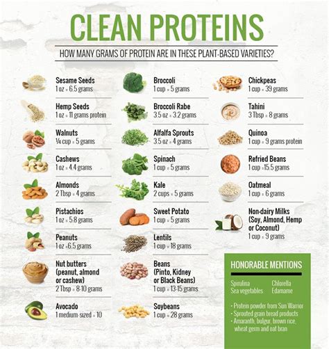 Grams Of Protein Chart