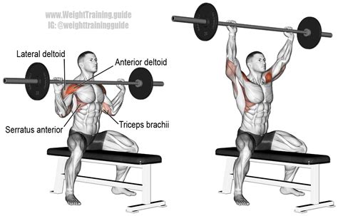 Seated Barbell Overhead Press Guide And Video Weight Training Guide