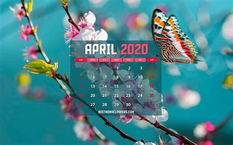 Calendar April 2020 Butterflies 2020 Calendar Spring Calendars