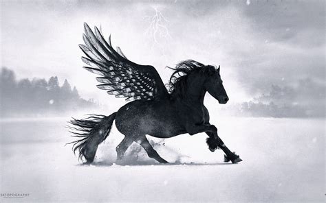 Black Pegasus Desktopography