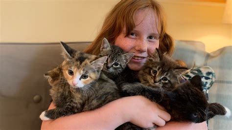 Barn Cats For Adoption In Nh Isa Lake