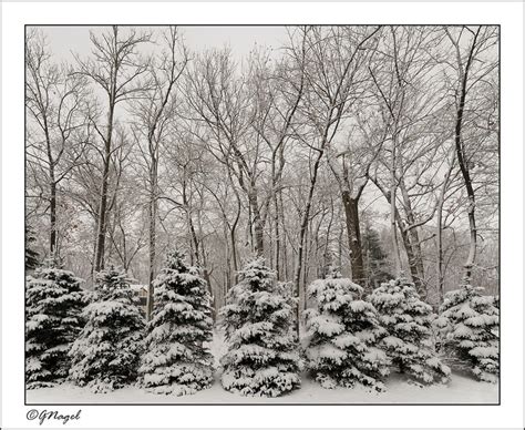 Glenn Nagel Photography First Snow Fall First Snow Fall
