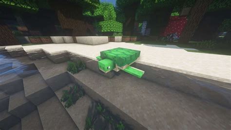 Minecraft Turtle Guide How To Hatch Tame And Breed Minecraft Guides Wiki