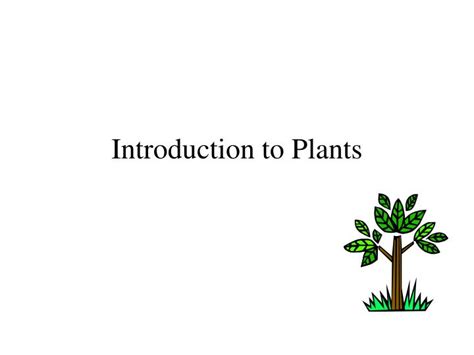 Ppt Introduction To Plants Powerpoint Presentation Free Download