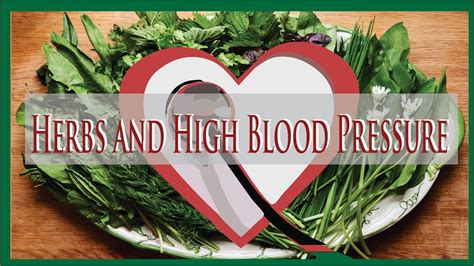 Top 10 Herbs Which Can Reduce Your Blood Pressure Youtube