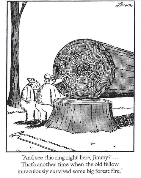 far side comics far side cartoons the far side gallery images and photos finder