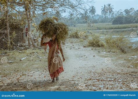 Indian Village Old Couple Indian Village Old Couple Editorial Stock Image Image Of Farming