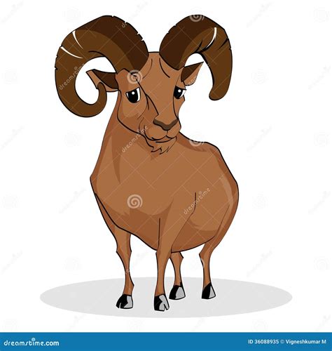 Wild Ram Stock Vector Illustration Of Goat Cartoon 36088935