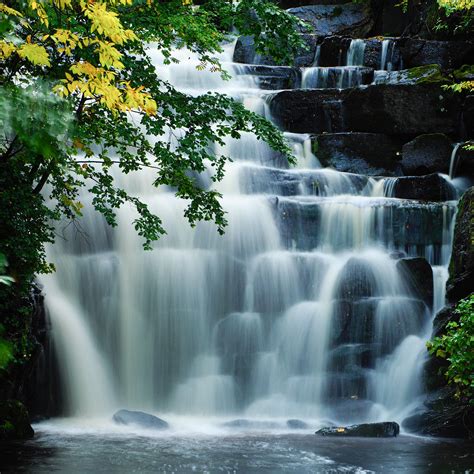 Download Wallpaper 2780x2780 Waterfalls Cascades Water Trees Ipad