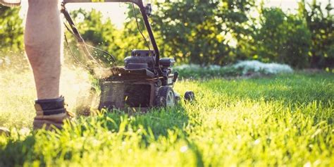 The 5 Best Mowers For Mowing Pasture Equine Desire