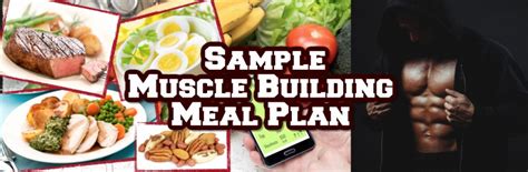 sample lean muscle building diet plan — lee hayward s total fitness bodybuilding tips body
