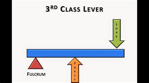 3rd Class Lever Video Youtube