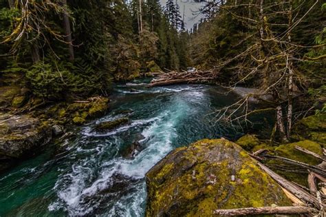 The Skokomish River Pounds Through Mossy Rocks And Forest Photo By