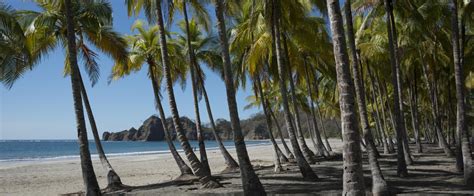 Best Beach Towns In Costa Rica Costa Rica Experts