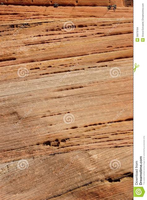 Detail Cross Current Layers Of Red Sandstone Stock Photo Image Of
