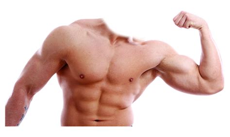 Bodybuilding Png Images Transparent Free Download Pngmart