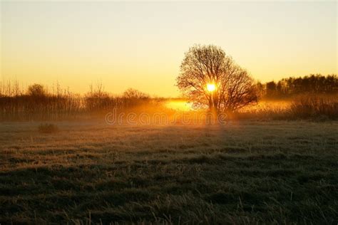 38039 Sunrise Over Field Stock Photos Free And Royalty Free Stock