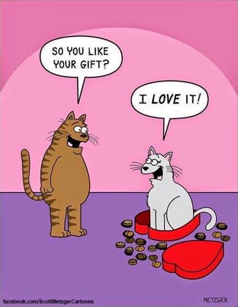 Pin By Robert Elliott On Valentine Day Funny Cat Memes Valentines
