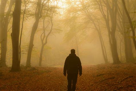 Man Walking Through A Misty Forest Stock Photo Download Image Now