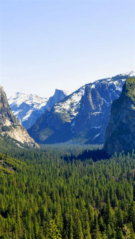 Wallpaper El Capitan 5k 4k Wallpaper Yosemite Forest Osx Apple