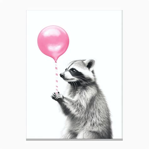 Raccoon With Pink Balloon 1 Canvas Print By Snazzy Bandits Fy