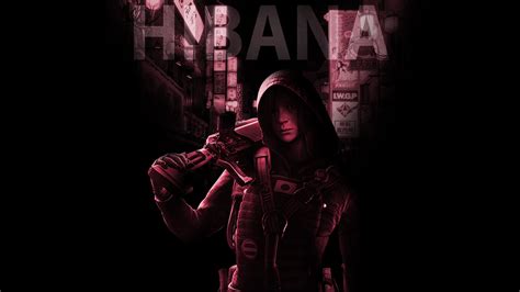 Hibana R6 Wallpapers Wallpaper Cave