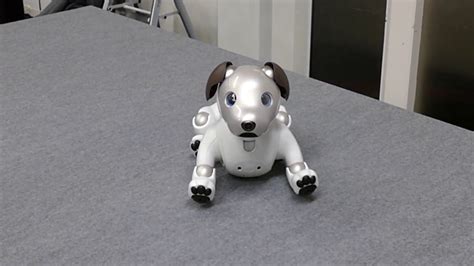 Revival Of Sonys Aibo The Ai Robot Dog Raw Video Youtube