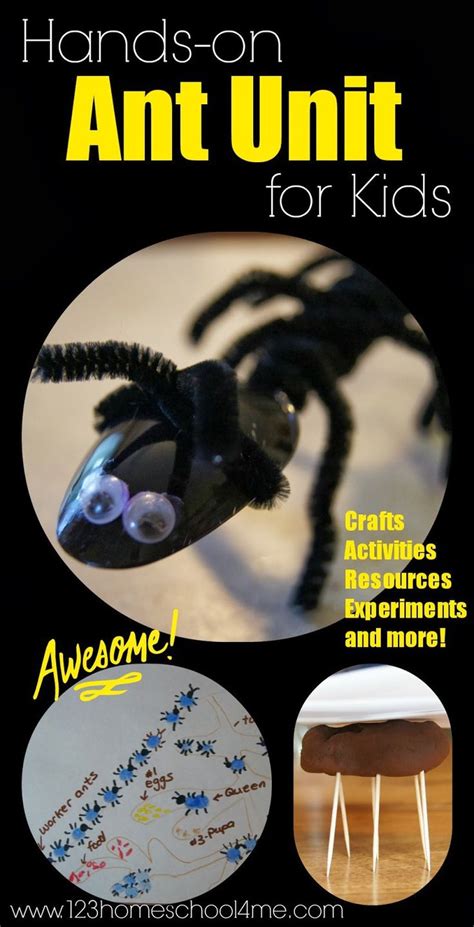 Ant Activities Insect Lesson For Kids Artofit