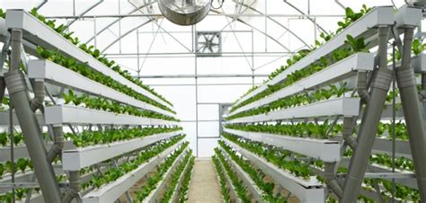 Introduction To Hydroponic Farming Cleantech Solutions
