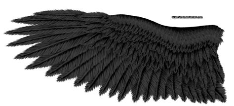 Eagle Wings Transparent Image Png Arts