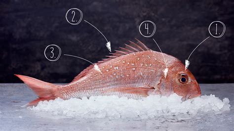 Prices can differ astronomically for. How to tell if a fish is fresh - The NEFF Kitchen