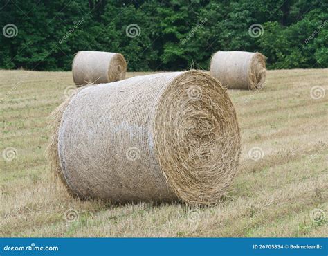 Hay Rolls In Huntingtown Maryland Stock Photo Image Of Harvest
