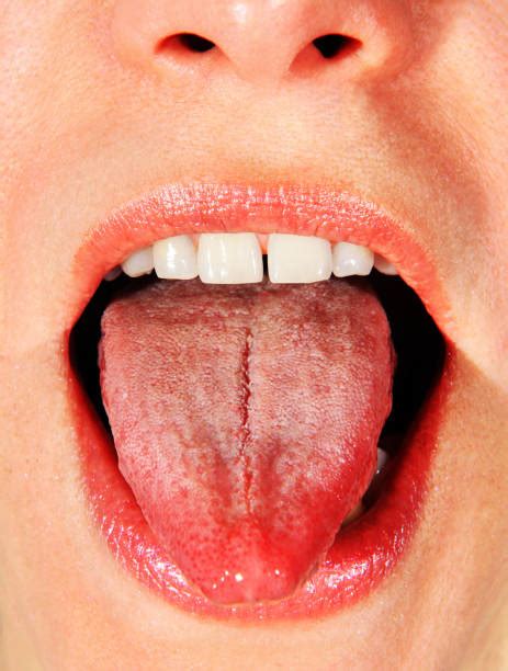 Woman Sticking Out Tounge Stock Photos Pictures And Royalty Free Images