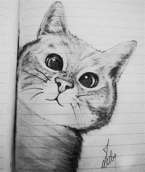 A Pencil Drawing Of A Cat With Big Eyes