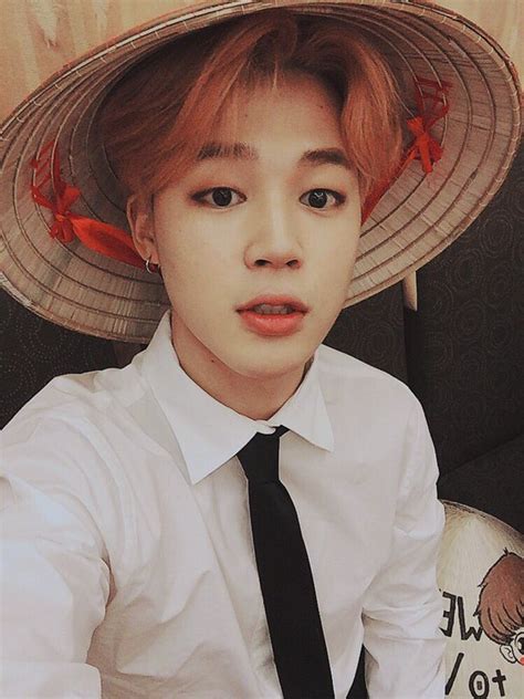 Hello Moys V 70 Fakta Chim Chim Jimin Bts