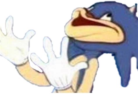 Sonic Meme Pfp