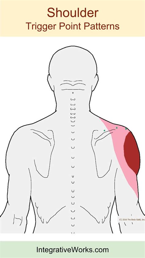 Pain At Base Of Head And Under Shoulder Blade Integrative Works