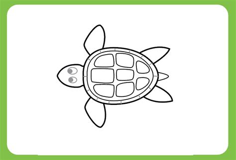 Start by copying the outline and progress on to the other easy drawings provided. How To Draw A Turtle : Step By Step Guide | How to Draw