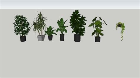 Plants 3d Warehouse Plants Interior Design Renderings Sketchup Model
