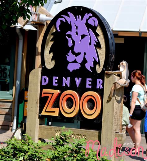 Welcome To The Denver Zoo Annmarie John A Travel And Lifestyle Blog