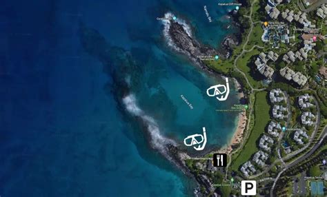 Snorkeling Kapalua Bay Beach Maui 2 Coral Reefs Youll Love