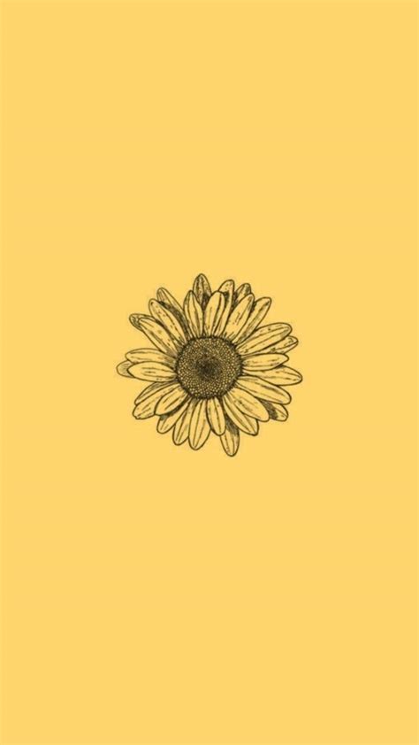 79 Yellow Aesthetic Sunflower Profile Pic Iwannafile