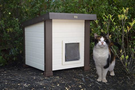 10 Best Outdoor Cat Houses Of 2020 Buyers Guide And