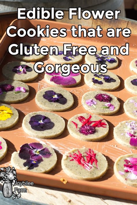 Looking for some online florist to provide flower delivery in delhi within 2 hrs? Edible Flower Cookies that are Gluten Free and Gorgeous